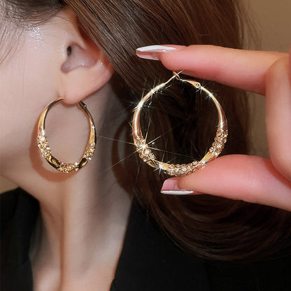 🔥Circle Earrings with Zirconia