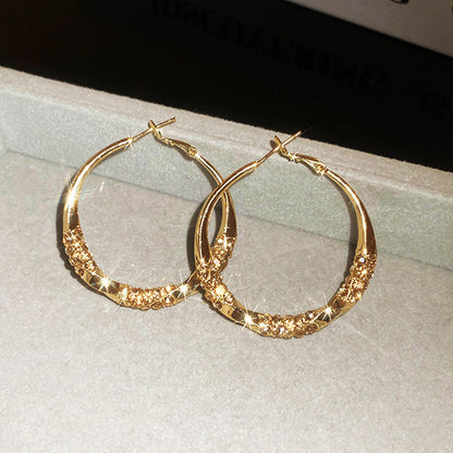 🔥Circle Earrings with Zirconia